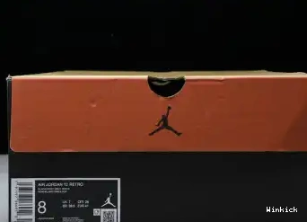 Grey CT8013-010 12 Black Wolf Air Jordan 0621